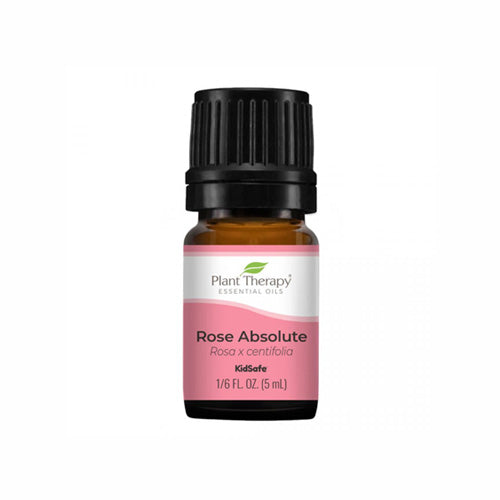 PlantTherapy Rose Absolute Essential Oil 5mL (1/6 oz)
